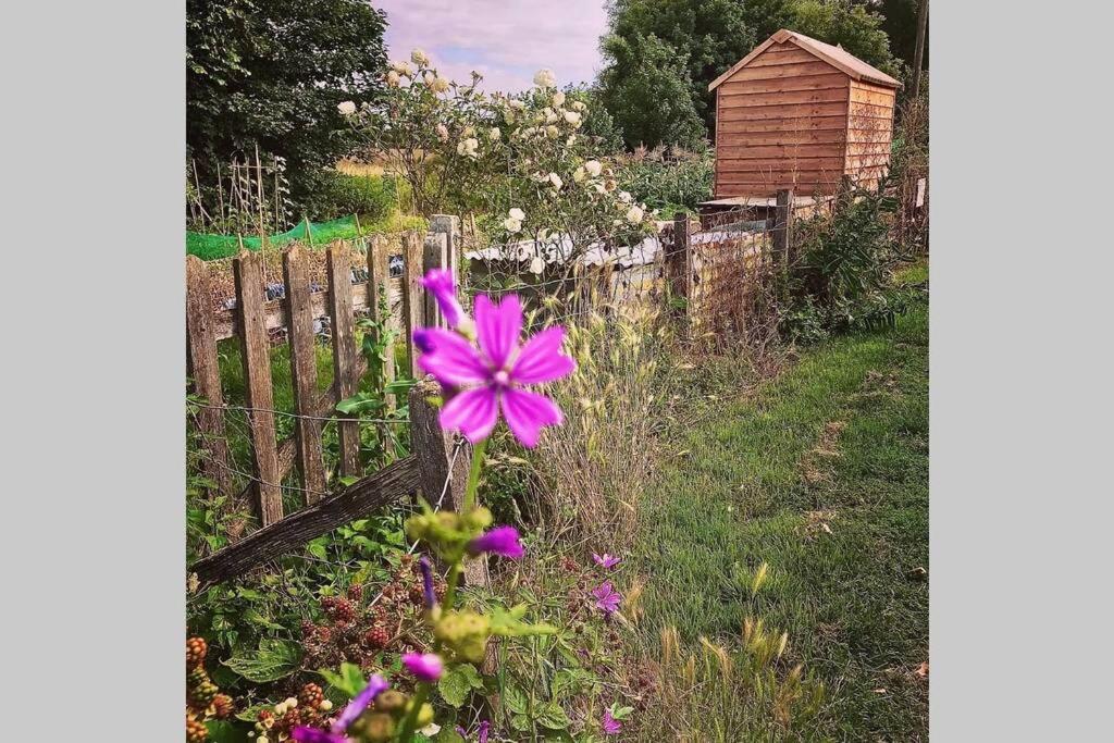 Melford Allotment Shed-Vintage Lodge Suffolk Long Melford Buitenkant foto